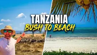 The Ultimate Tanzania Adventure: From Wild Safari to Tropical Paradise 🇹🇿