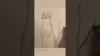 Finally finishing this series - Drawing winter animals part 4/4  #art #drawing