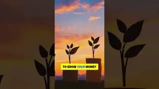 Cashflow Investing for all Blue Collar Workers - Cashflowinvestingsage.com