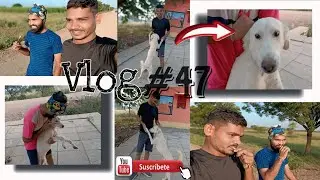 VLOG#47 ...#video #viral #explore #vlog #desi #boy #song #journey #travel #happy #walkthrough #dog 