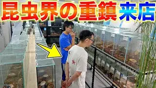 50年以上昆虫界を支えるむし社の社長が展示施設を視察にきた