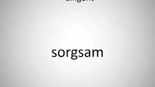 How to say diligent in German? (sorgsam)