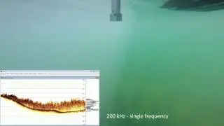 CEE HydroSystems CEESCOPE&trade; GoPro Ground Truthing Sub Aquatic Vegetation Hydrographic Survey