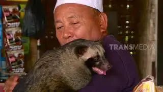 Dado, Musang Pandan Gemuk Yang Sangat Penurut | Si Otan (18/02/19) Part 2