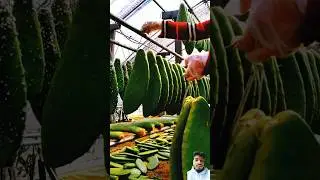 The Weirdest Fruits From China