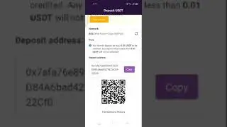 HOW TO FUND YOUR REMITANO WALLET WITH USDT AND BUY RENEC UPON LAUNCH