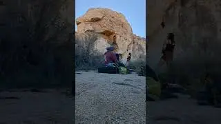 coyote corner j tree