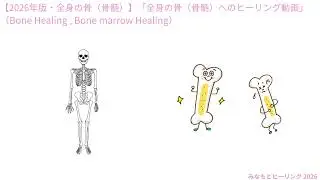 【2026年版・骨（骨髄）】「全身の骨（骨髄）のヒーリング動画」（Bone Healing , Bone marrow Healing）