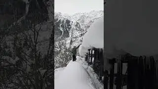 Heavy Snowfall Mebar Kinnaur Himachal Pradesh #snow #mountains #nature #travel #winter