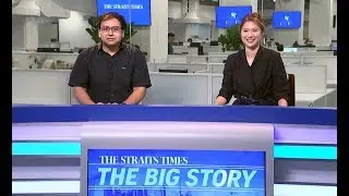 THE BIG STORY: What you need to know about NDR 2019 | The Straits Times