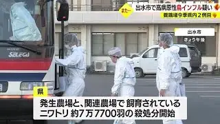 鹿児島県内の養鶏場で今季2例目　高病原性鳥インフルエンザの疑い　ニワトリの殺処分始まる　出水市（2022.11.24）