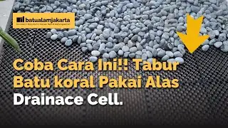 Pemula Juga Bisa! Tutorial Pasang Batu Koral dengan Drainase Sel, Anti Ribet