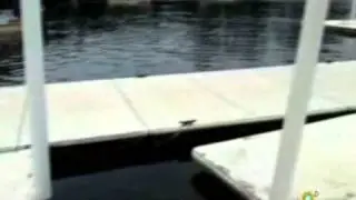 Fracasa proyecto de muelle tur&iacute;stico en Las Barrillas