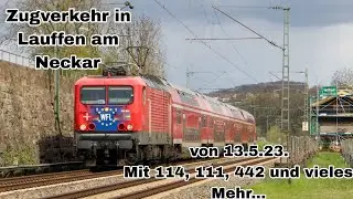 Zugverkehr in Lauffen am Neckar von 13.5.23. Mit 114,111, 155 und Vieles mehr...