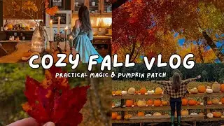 🍁 Cozy Fall Vlog 🍂 Practical Magic Day, Cozy Autumn Vlog, Romanticizing Autumn, Cozy Day, Slow Life