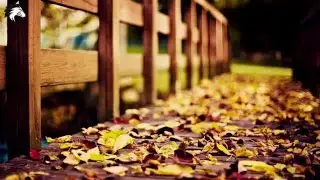 Best Deep House Hits | Vocal Deep House Mix 2015 #15