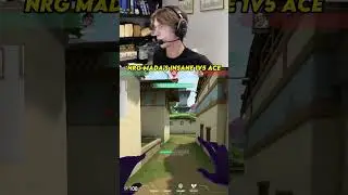 NRG Might Be Back (via twitch.tv/madaa) #valorant #valorantclips #nrg #nrgvalorant