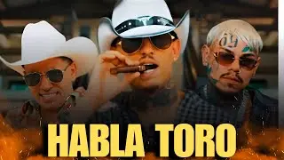 HABLA TORO, de Bebeshito, Lenier y Tekashi, SE VIRALIZA sin SALIR!