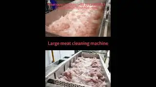 Large meat cleaning machine spare ribs washing machine food equipment meat washer food equipment