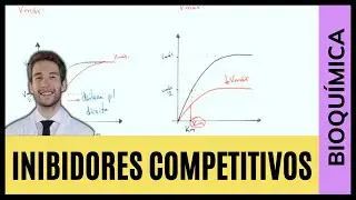 INIBIDORES COMPETITIVOS E REGULAÇÃO ENZIMÁTICA