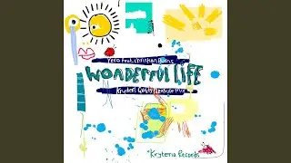 Wonderful Life (Kryder's Guilty Pleasure Mix)