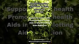Escarole Unveiled: Health Benefits, Nutrients, and Potential Side Effects
