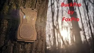 FoxPro Game Call Review