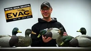The Lightest Fullbody Duck Decoys | EVAC Series Mallards | White Rock Decoys