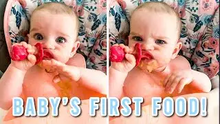 Baby's First Foods & BLW Amazon Haul!