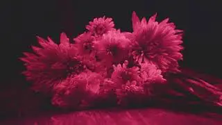 Lungless - Beauty In Death (MUSIC VIDEO)