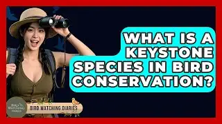 What Is A Keystone Species In Bird Conservation? - Bird Watching Diaries