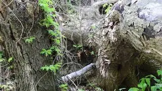 Test 10