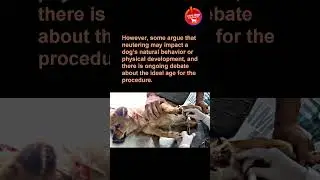 Should dogs be neutered -LDC 232 # short @lovedogs7747