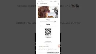 Видео о том, как найти сертефикат в нашем магазине Petland