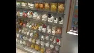 Pigs museum. Schweine Museum. Sauvideo. Freizeittipps
