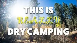 Dry Camping at Lower Lee Vining Campground & An Emergency Vet Visit