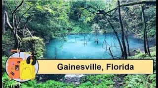 15 Things to do in Gainesville, Florida