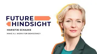 We Have to Make A.I. Work for Democracy.