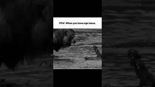 When you have ego issue! #trendingshorts #successmindset #motivational #ego #masculinity #lion #fyp
