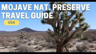 Mojave National Preserve Travel Guide