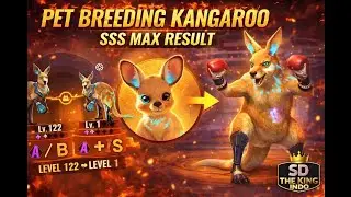 PET BREEDING KANGAROO GOES S-TIER?! | MAX POTENTIAL BREED RESULT | State of Survival