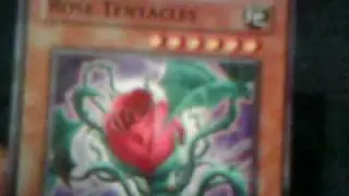 Plant Deck (WiP)