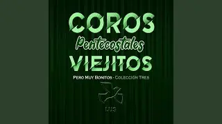 Como Ladrón en la Noche