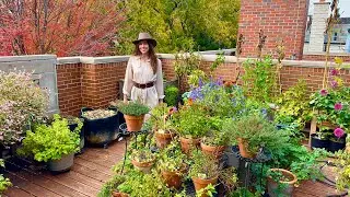 November Container Garden Tour!🪴So Much Is Still Growing On My Front Deck!