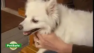 PetSafe Vibration Bark Control