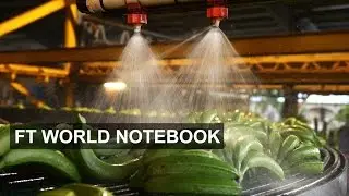 Australia&rsquo;s banana plague | FT World Notebook