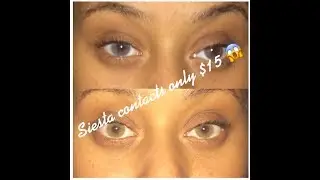 Siesta contacts ONLY $15 dollars