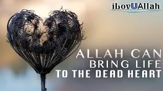 Allah Can Bring Life To The Dead Heart