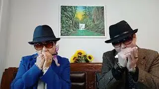 불나비(원곡:김상국Am)~C키 로 연주