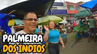 Feira Livre de Palmeira dos Índios Alagoas